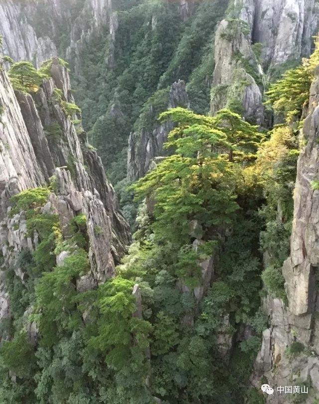 救援溜冰女孩